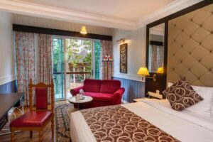 Superior Double or Twin Room