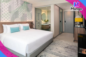 غرفة سكاي لاين توين