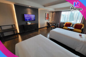  غرفة بريفليج مع بانيو