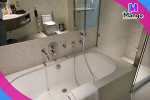 جناح ديلوكس