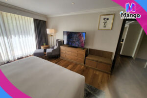 غرفة ويلنيس سويت