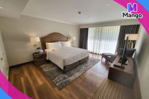 غرفة ويلنيس سويت