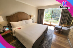 غرفة ويلنيس سليب سويت