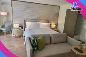 جناح ديلوكس