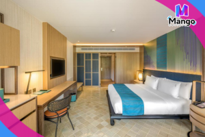 1 King Premium City View Balcony