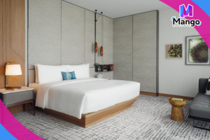 Premium King Room