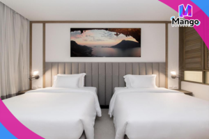  غرفة ديلوكس مزدوجة أو توأم