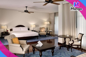 جناح جونيور كينغ مع شرفة وإمكانية الدخول إلى النادي - إطلالة عَلى الحديقة