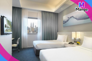 Superior Double or Twin Room