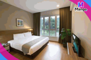 1 Bedroom Lakeview Suite