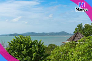 Superior, Guest room, 1 King, Alternate bed sofa bed