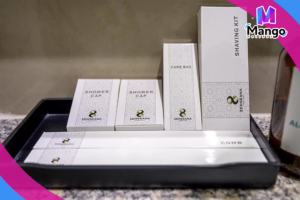 Deluxe Double or Twin Room with Balcony