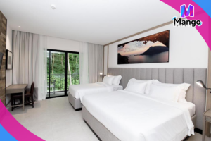  غرفة ديلوكس مزدوجة أو توأم