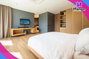 Napa Premier Double Room