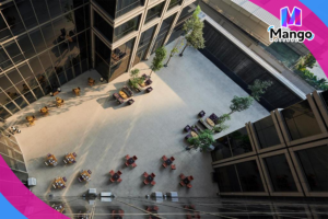 Courtyard Oasis King