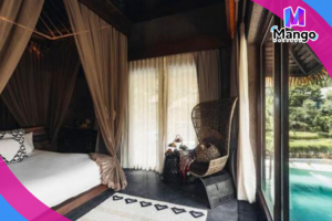 Partner offer option