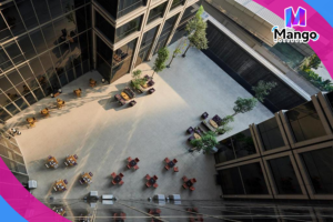 Courtyard Oasis Twin