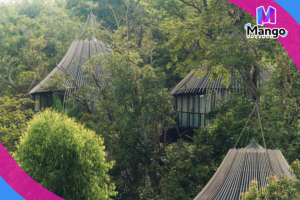 Tree Villa with Private Pool