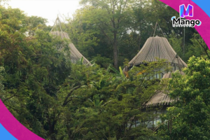 Tree Villa with Private Pool