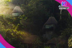 Tree Villa with Private Pool