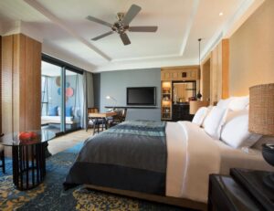 جناح بحجم كينغ مع إطلالة على الحديقة 