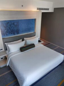 عليّة، غرفة ضيوف، سرير كينغ واحد 