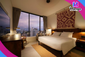 Standard Double City View