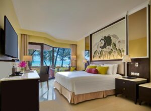 Deluxe Double or Twin Room with Ocean View