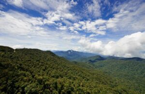 جناح من غرفتي نوم