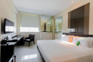 Deluxe Double or Twin Room