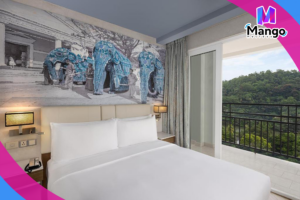 Suite – 1 Bedroom –