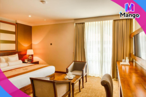 Deluxe Double or Twin Room