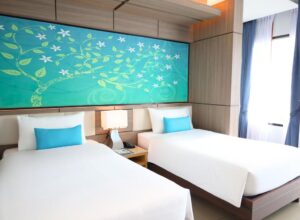 غرفة ديلوكس توأم