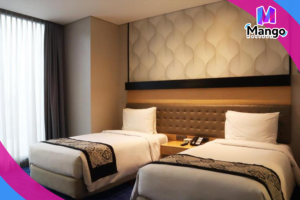 غرفة قياسية توأم