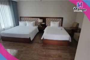 Siner Suite