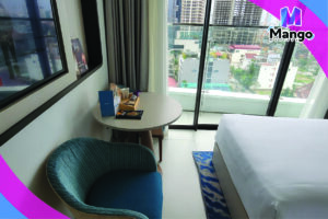 Deluxe Twin Cityview