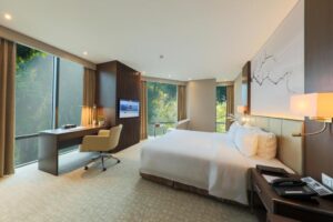 Premium King Room