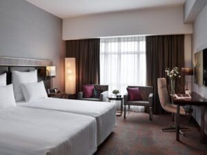 Deluxe Executive Room with City View