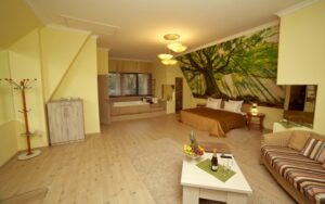 1Bedroom Double Apartment