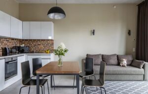 Apartment With 2 Bedrooms And A View Of The Neva River