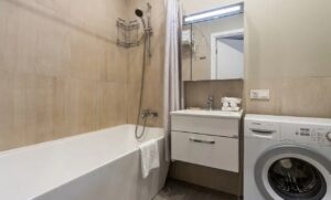 Apartment With 2 Bedrooms And A View Of The Neva River