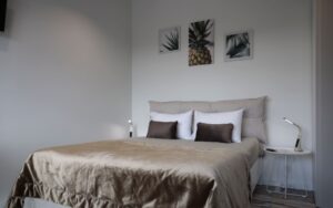 Classic Unique Apartment