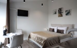 Classic Unique Apartment