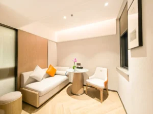 Deluxe Business Room