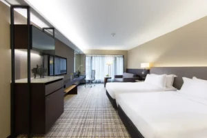 Deluxe City View Room