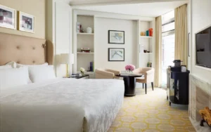 Deluxe Courtyard View Room