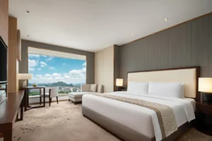 Deluxe Double Bed Room