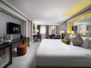 Deluxe King or Twin Room1