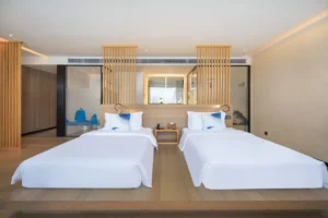 Deluxe Mountain View Twin Room