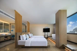 Deluxe Mountain View Twin Room